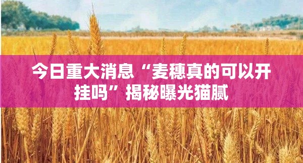 今日重大消息“麦穗真的可以开挂吗”揭秘曝光猫腻