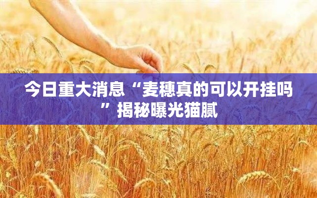 今日重大消息“麦穗真的可以开挂吗”揭秘曝光猫腻