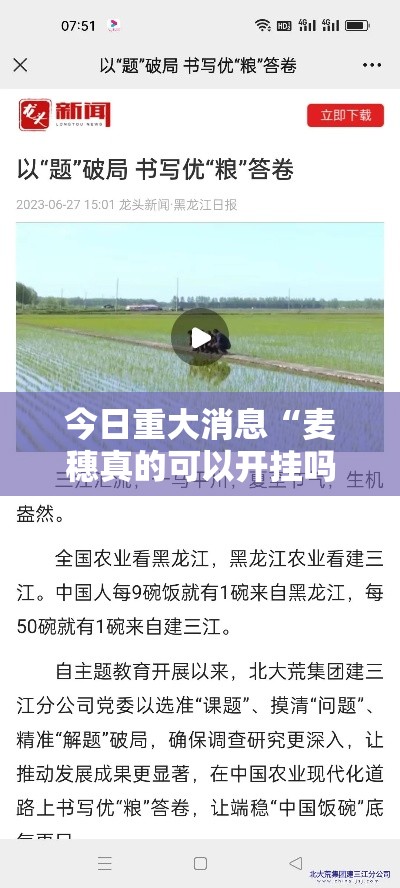 今日重大消息“麦穗真的可以开挂吗”揭秘曝光猫腻