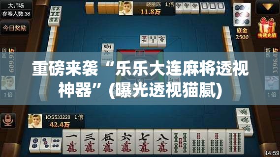 重磅来袭“乐乐大连麻将透视神器	”(曝光透视猫腻)