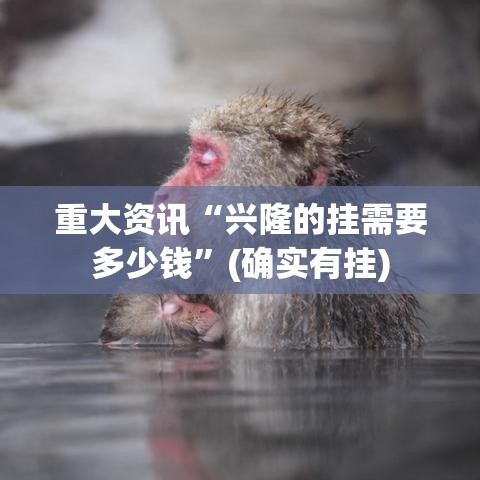 重大资讯“兴隆的挂需要多少钱”(确实有挂)