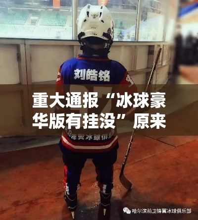 重大通报“冰球豪华版有挂没	”原来真的有挂