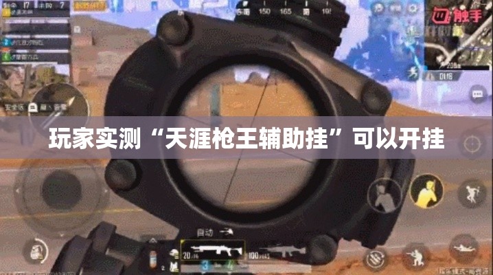 玩家实测“天涯枪王辅助挂”可以开挂