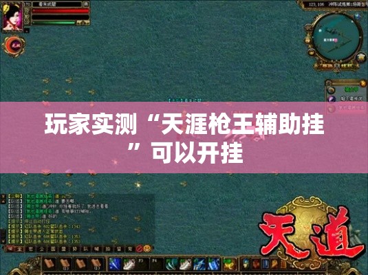 玩家实测“天涯枪王辅助挂”可以开挂