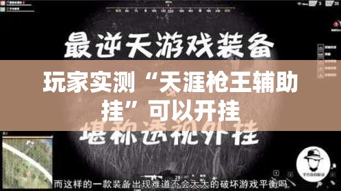 玩家实测“天涯枪王辅助挂	”可以开挂