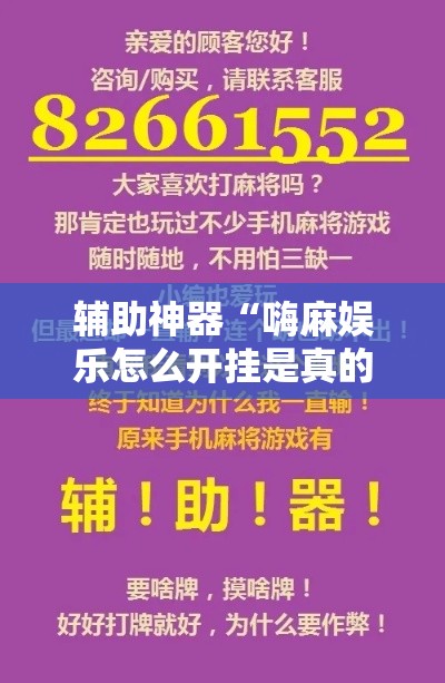 辅助神器“嗨麻娱乐怎么开挂是真的吗”玩家必备神器
