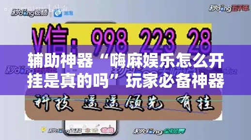 辅助神器“嗨麻娱乐怎么开挂是真的吗”玩家必备神器