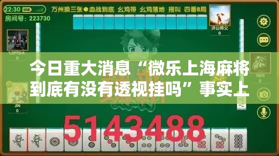 今日重大消息“微乐上海麻将到底有没有透视挂吗	”事实上真的有挂