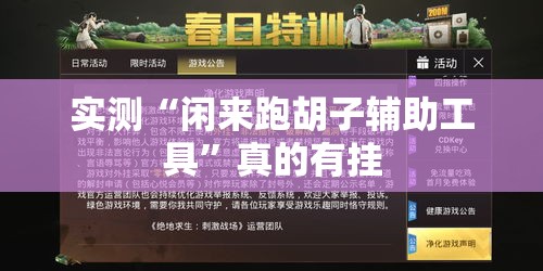 实测“闲来跑胡子辅助工具”真的有挂