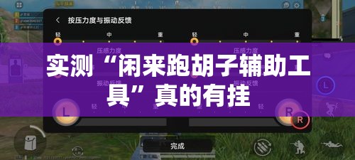 实测“闲来跑胡子辅助工具”真的有挂