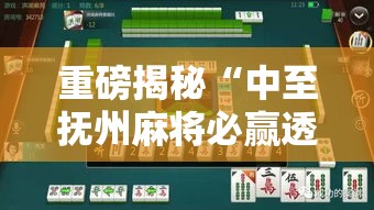 重磅揭秘“中至抚州麻将必赢透视神器”曝光透视猫腻
