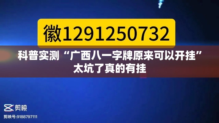 科普实测“广西八一字牌原来可以开挂”太坑了真的有挂