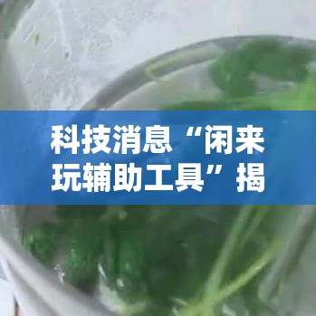 科技消息“闲来玩辅助工具”揭秘曝光猫腻