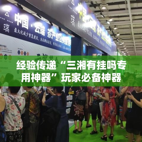 经验传递“三湘有挂吗专用神器”玩家必备神器