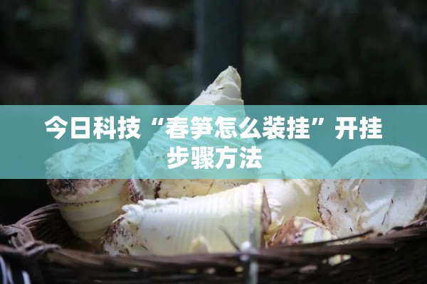 今日科技“春笋怎么装挂”开挂步骤方法