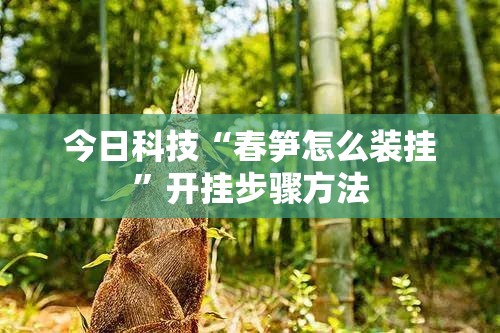 今日科技“春笋怎么装挂”开挂步骤方法