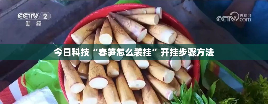 今日科技“春笋怎么装挂”开挂步骤方法