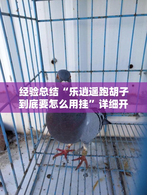 经验总结“乐逍遥跑胡子到底要怎么用挂”详细开挂玩法