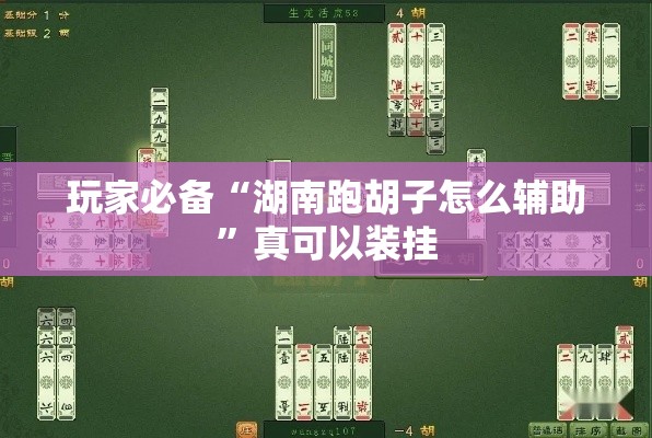 玩家必备“湖南跑胡子怎么辅助”真可以装挂