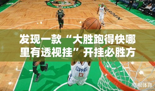 发现一款“大胜跑得快哪里有透视挂”开挂必胜方法