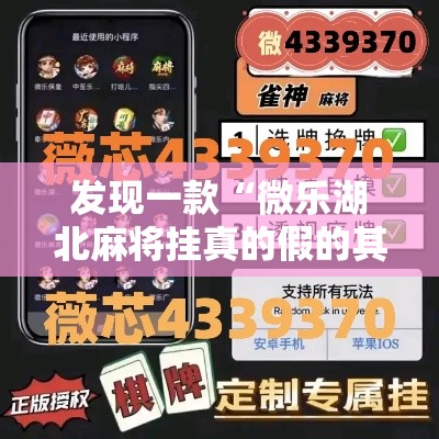 发现一款“微乐湖北麻将挂真的假的其实可以装挂 发现一款“微乐湖北麻将挂真的假的其实可以装挂