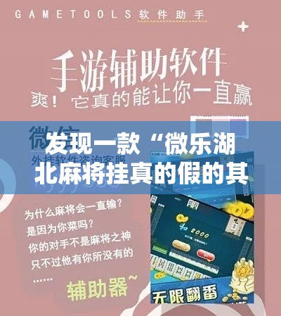 发现一款“微乐湖北麻将挂真的假的其实可以装挂 发现一款“微乐湖北麻将挂真的假的其实可以装挂