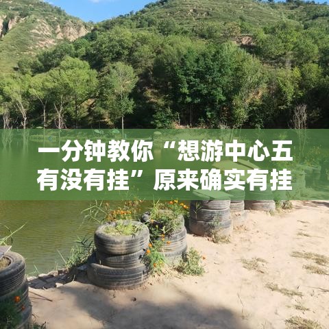 一分钟教你“想游中心五有没有挂”原来确实有挂