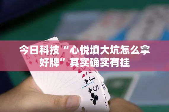 今日科技“心悦填大坑怎么拿好牌”其实确实有挂
