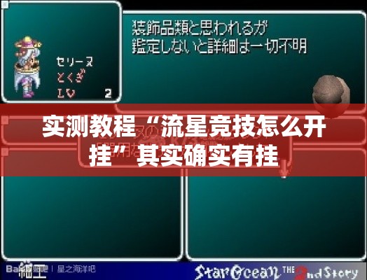 实测教程“流星竞技怎么开挂”其实确实有挂
