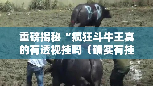重磅揭秘“疯狂斗牛王真的有透视挂吗(确实有挂) 重磅揭秘“疯狂斗牛王真的有透视挂吗(确实有挂)