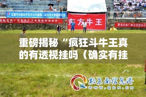 重磅揭秘“疯狂斗牛王真的有透视挂吗(确实有挂) 重磅揭秘“疯狂斗牛王真的有透视挂吗(确实有挂)