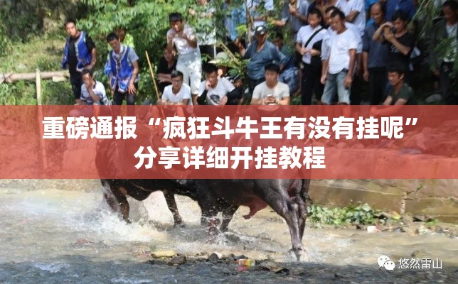 重磅通报“疯狂斗牛王有没有挂呢”分享详细开挂教程