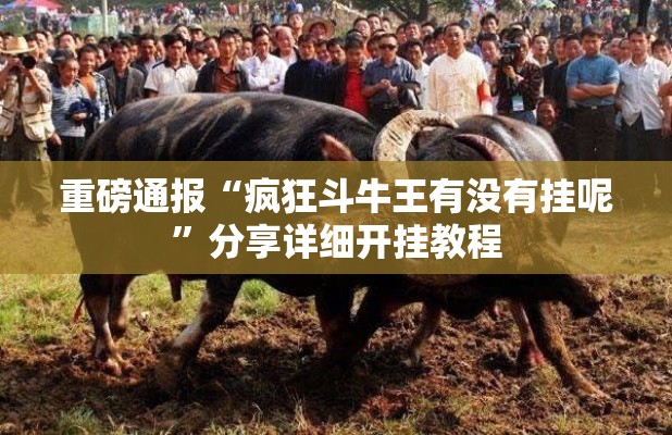 重磅通报“疯狂斗牛王有没有挂呢”分享详细开挂教程