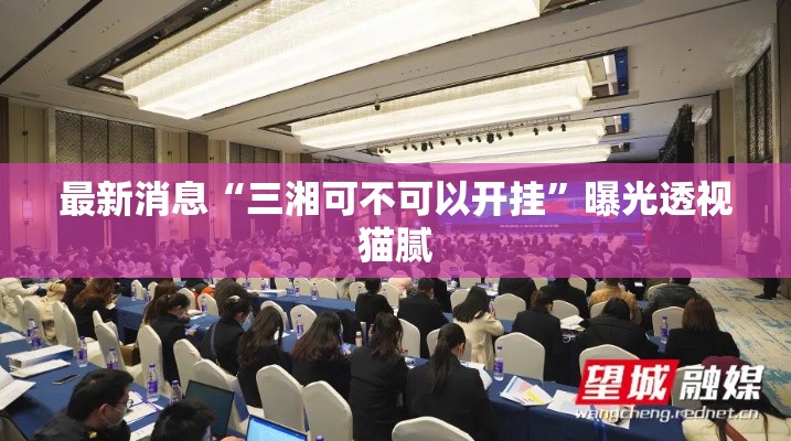 最新消息“三湘可不可以开挂”曝光透视猫腻