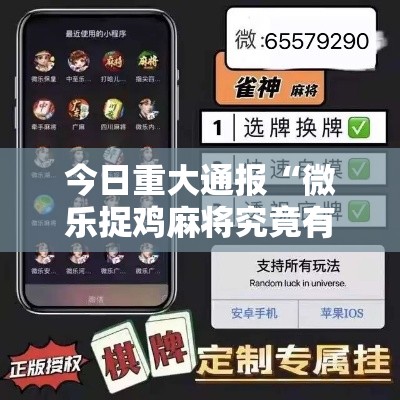 今日重大通报“微乐捉鸡麻将究竟有没有挂	”可以辅助
