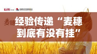 经验传递“麦穗到底有没有挂”详细开挂玩法