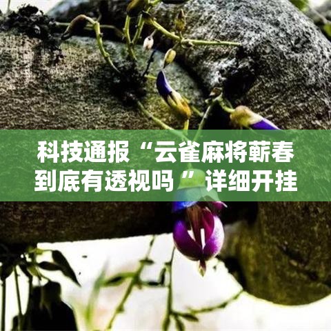科技通报“云雀麻将蕲春到底有透视吗 ”详细开挂教程