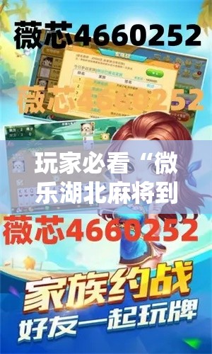 玩家必看“微乐湖北麻将到底要怎么用挂”可以透视