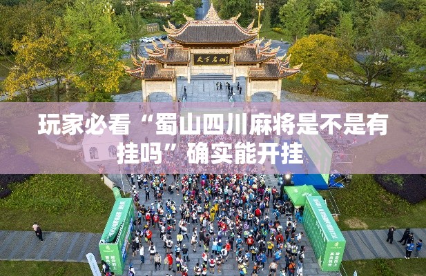 玩家必看“蜀山四川麻将是不是有挂吗”确实能开挂 