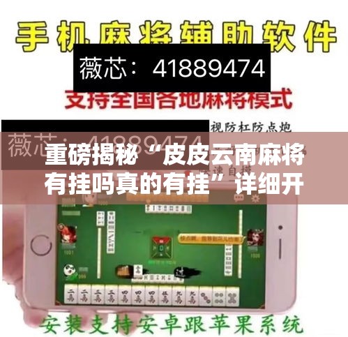 重磅揭秘“皮皮云南麻将有挂吗真的有挂”详细开挂教程