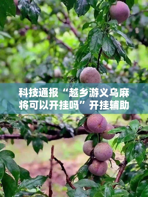 科技通报“越乡游义乌麻将可以开挂吗”开挂辅助透视教程