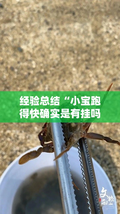 经验总结“小宝跑得快确实是有挂吗	”太坑了真的有挂