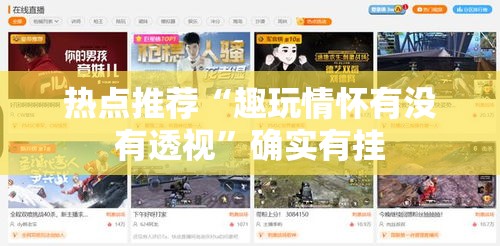 热点推荐“趣玩情怀有没有透视	”确实有挂