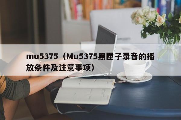 mu5375（Mu5375黑匣子录音的播放条件及注意事项）