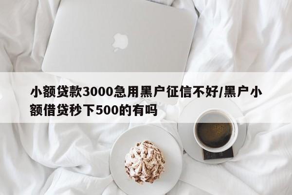 小额贷款3000急用黑户征信不好/黑户小额借贷秒下500的有吗
