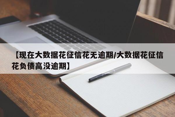 【现在大数据花征信花无逾期/大数据花征信花负债高没逾期】