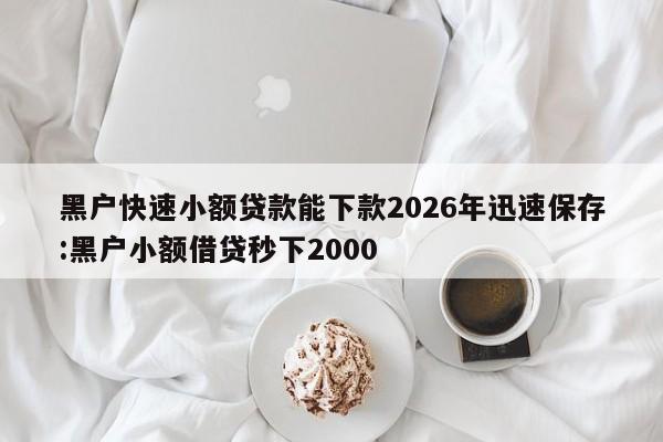 黑户快速小额贷款能下款2026年迅速保存:黑户小额借贷秒下2000