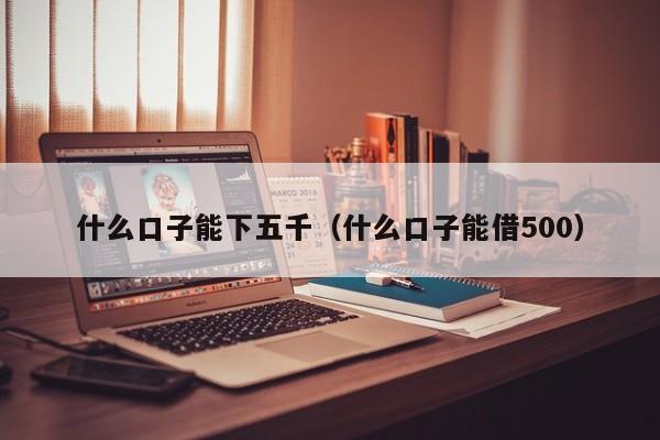 什么口子能下五千（什么口子能借500）