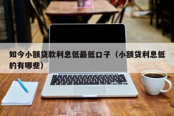 如今小额贷款利息低最低口子（小额贷利息低的有哪些）