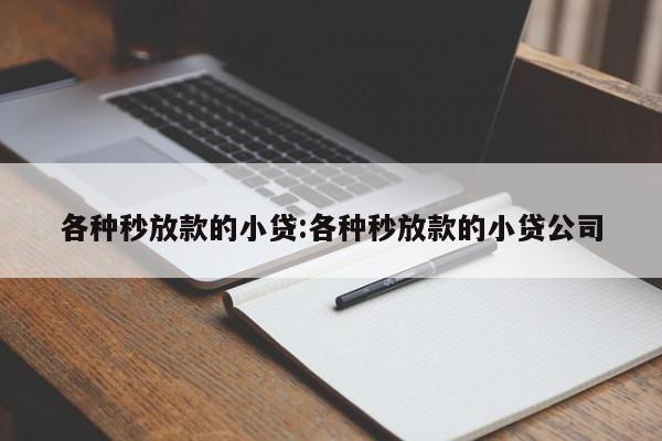 各种秒放款的小贷:各种秒放款的小贷公司